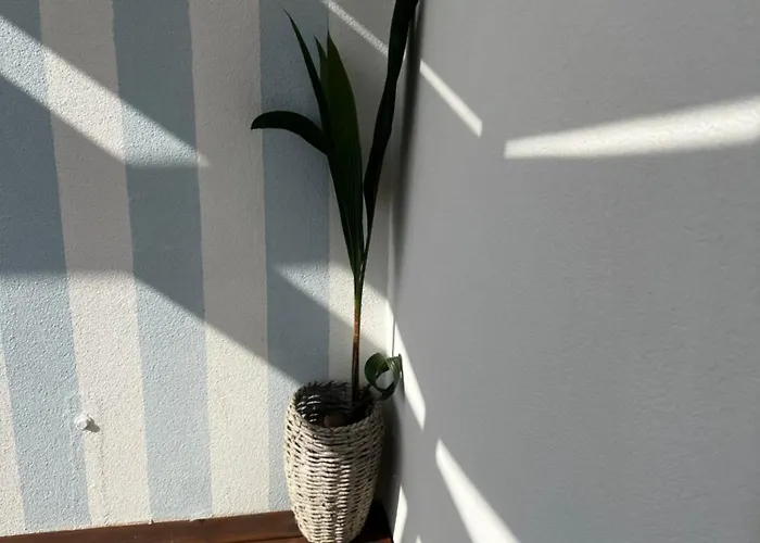 Avo Moreira House * Póvoa de Varzim