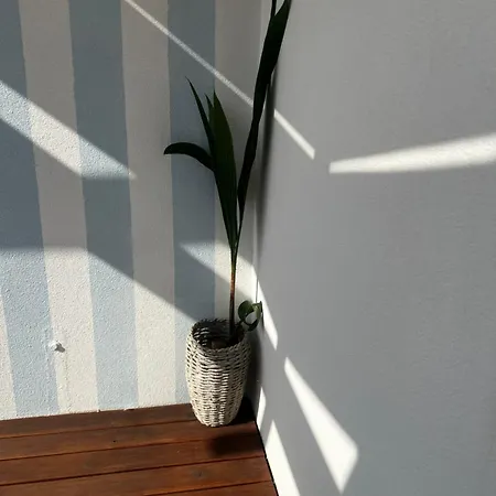 Avo Moreira House * Póvoa de Varzim