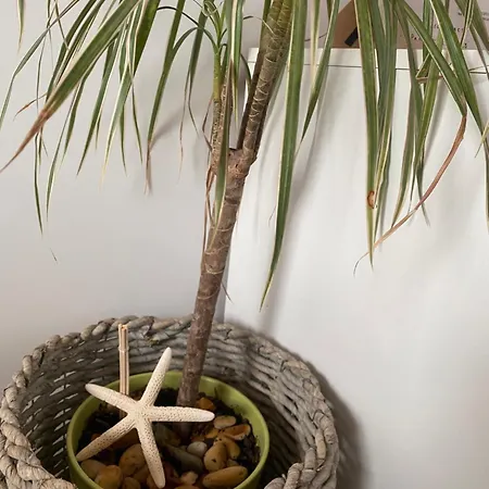 Ferienhaus Avô Moreira House Póvoa de Varzim