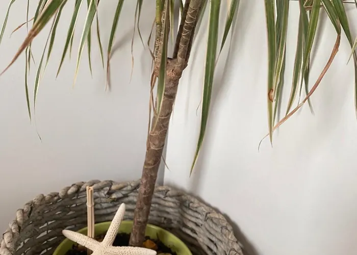 בית נופש Avo Moreira House Póvoa de Varzim